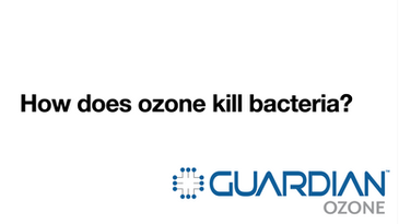 How does ozone kill bacteria?